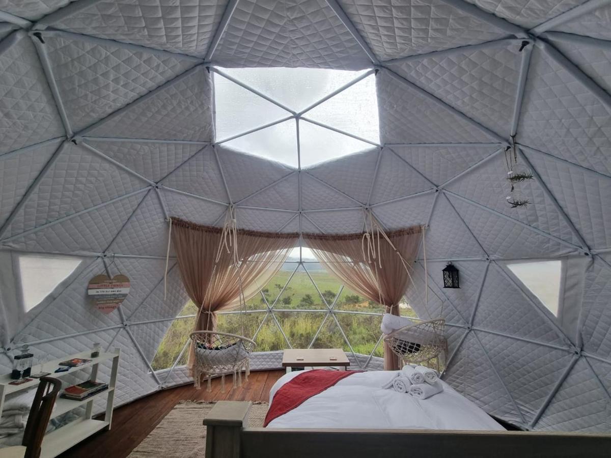 Hotel Pom Gratz - Ecodomes à Hartebeesrivier Extérieur photo