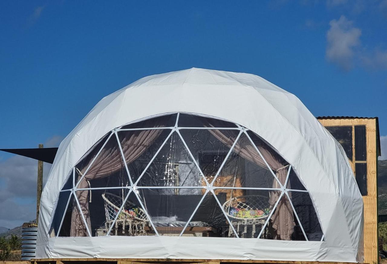 Hotel Pom Gratz - Ecodomes à Hartebeesrivier Extérieur photo