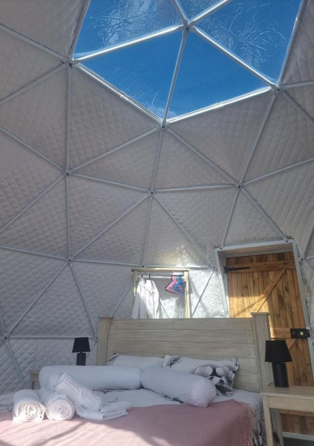 Hotel Pom Gratz - Ecodomes à Hartebeesrivier Extérieur photo