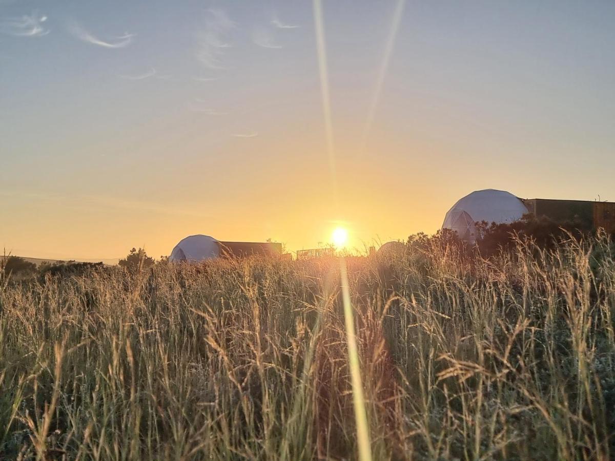 Hotel Pom Gratz - Ecodomes à Hartebeesrivier Extérieur photo