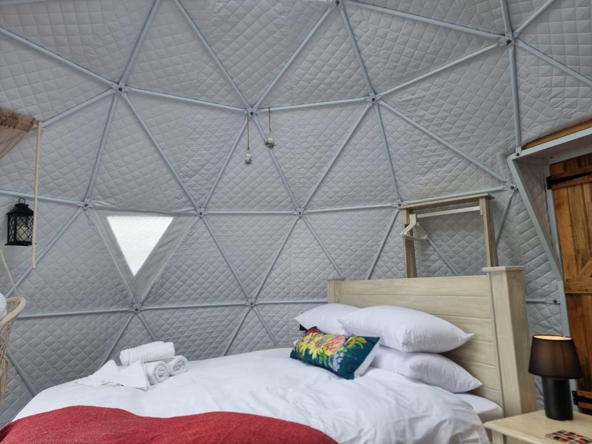 Hotel Pom Gratz - Ecodomes à Hartebeesrivier Extérieur photo