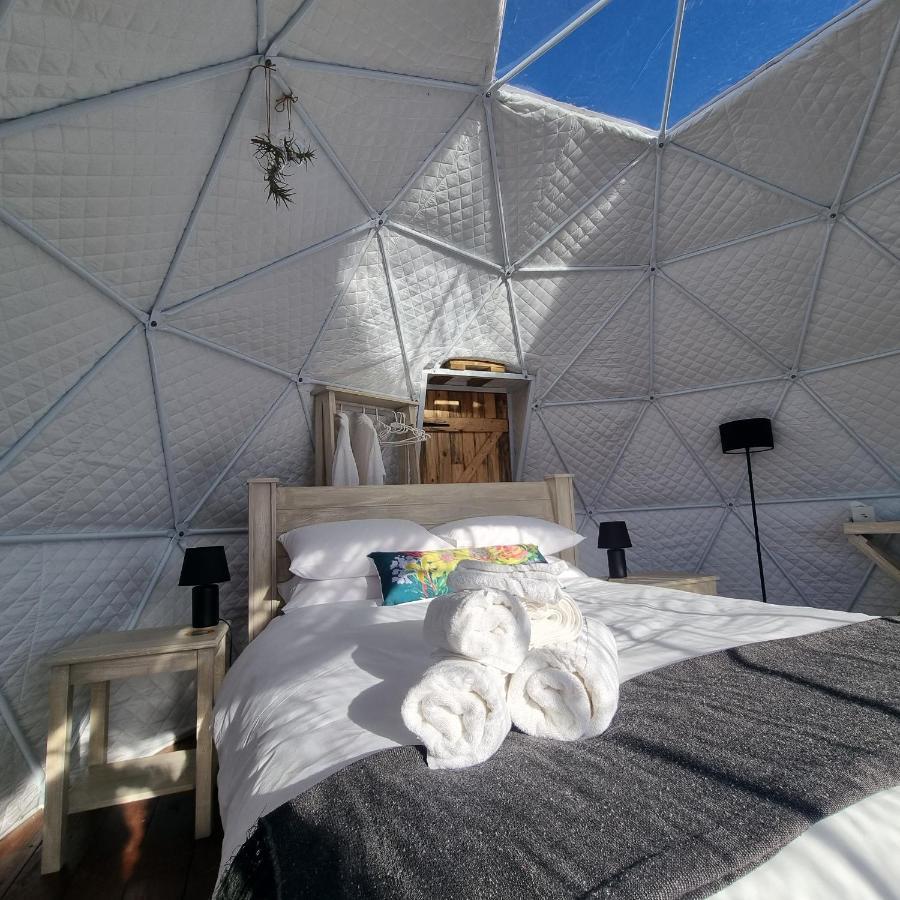 Hotel Pom Gratz - Ecodomes à Hartebeesrivier Extérieur photo